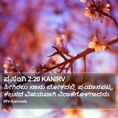 ಪ್ರಸಂಗಿ 2:20 KANIRV Bible Verse Image