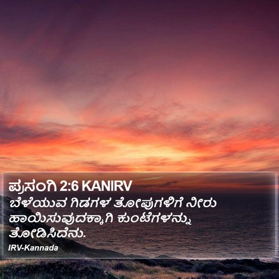 ಪ್ರಸಂಗಿ 2:6 KANIRV Bible Verse Image