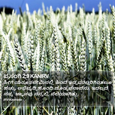 ಪ್ರಸಂಗಿ 2:9 KANIRV Bible Verse Image