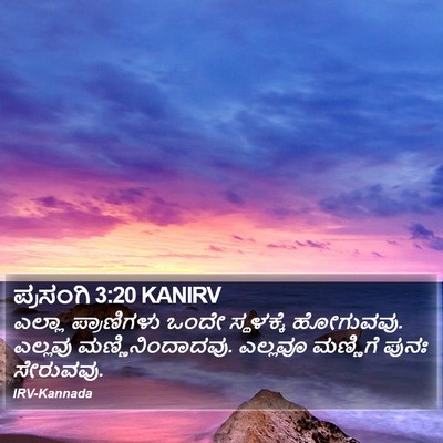 ಪ್ರಸಂಗಿ 3:20 KANIRV Bible Verse Image