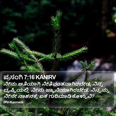 ಪ್ರಸಂಗಿ 7:16 KANIRV Bible Verse Image