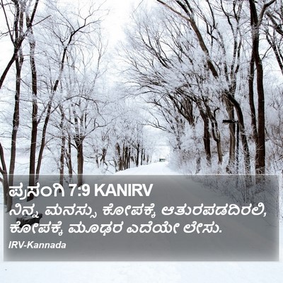 ಪ್ರಸಂಗಿ 7:9 KANIRV Bible Verse Image