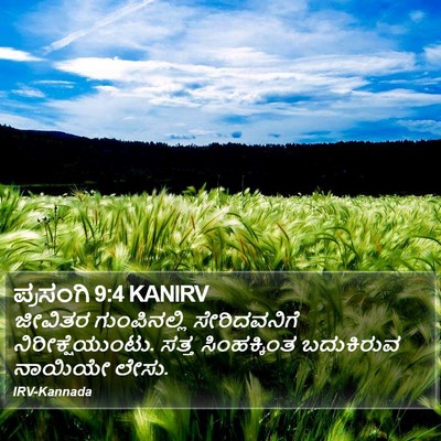 ಪ್ರಸಂಗಿ 9:4 KANIRV Bible Verse Image