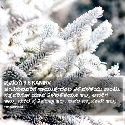 ಪ್ರಸಂಗಿ 9:5 KANIRV Bible Verse Image