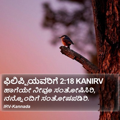 ಫಿಲಿಪ್ಪಿಯವರಿಗೆ 2:18 KANIRV Bible Verse Image