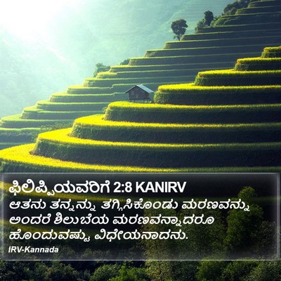 ಫಿಲಿಪ್ಪಿಯವರಿಗೆ 2:8 KANIRV Bible Verse Image