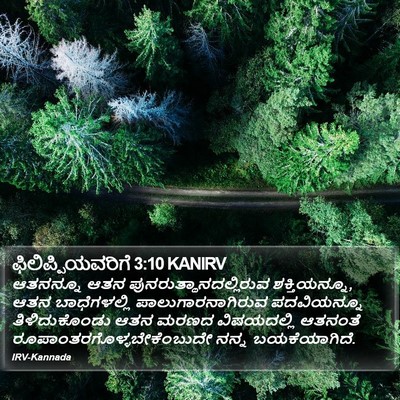 ಫಿಲಿಪ್ಪಿಯವರಿಗೆ 3:10 KANIRV Bible Verse Image