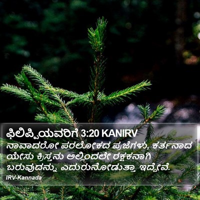 ಫಿಲಿಪ್ಪಿಯವರಿಗೆ 3:20 KANIRV Bible Verse Image