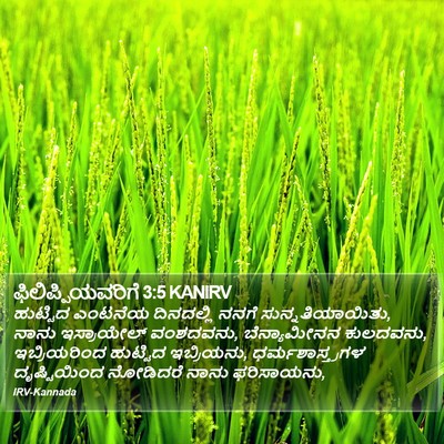ಫಿಲಿಪ್ಪಿಯವರಿಗೆ 3:5 KANIRV Bible Verse Image