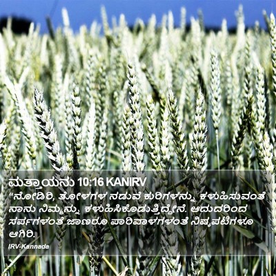 ಮತ್ತಾಯನು 10:16 KANIRV Bible Verse Image