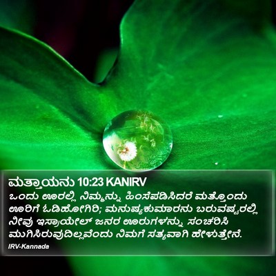 ಮತ್ತಾಯನು 10:23 KANIRV Bible Verse Image