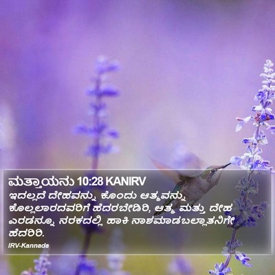 ಮತ್ತಾಯನು 10:28 KANIRV Bible Verse Image