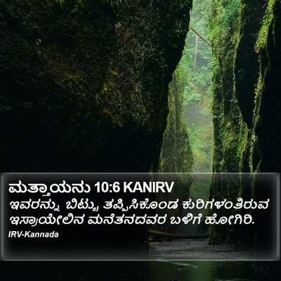 ಮತ್ತಾಯನು 10:6 KANIRV Bible Verse Image
