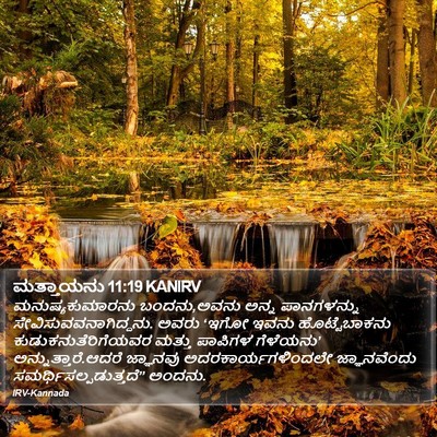 ಮತ್ತಾಯನು 11:19 KANIRV Bible Verse Image