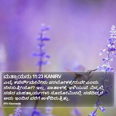 ಮತ್ತಾಯನು 11:23 KANIRV Bible Verse Image