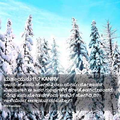 ಮತ್ತಾಯನು 11:7 KANIRV Bible Verse Image