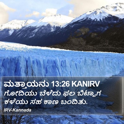 ಮತ್ತಾಯನು 13:26 KANIRV Bible Verse Image