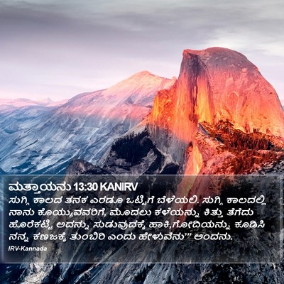 ಮತ್ತಾಯನು 13:30 KANIRV Bible Verse Image