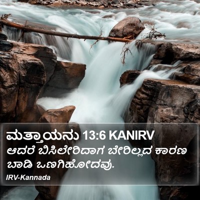 ಮತ್ತಾಯನು 13:6 KANIRV Bible Verse Image