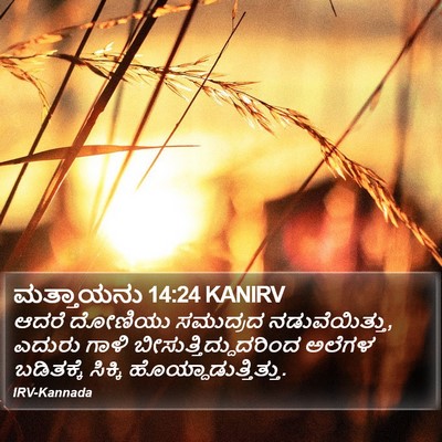 ಮತ್ತಾಯನು 14:24 KANIRV Bible Verse Image