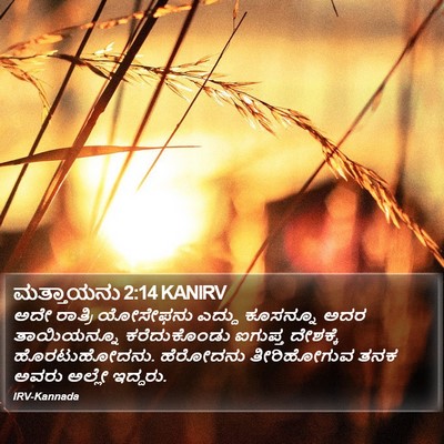 ಮತ್ತಾಯನು 2:14 KANIRV Bible Verse Image