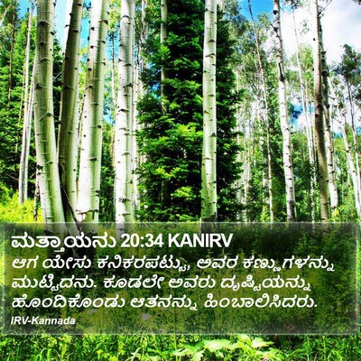 ಮತ್ತಾಯನು 20:34 KANIRV Bible Verse Image