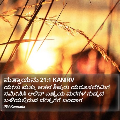 ಮತ್ತಾಯನು 21:1 KANIRV Bible Verse Image