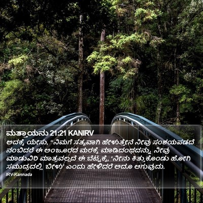 ಮತ್ತಾಯನು 21:21 KANIRV Bible Verse Image
