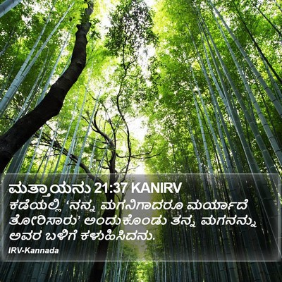 ಮತ್ತಾಯನು 21:37 KANIRV Bible Verse Image