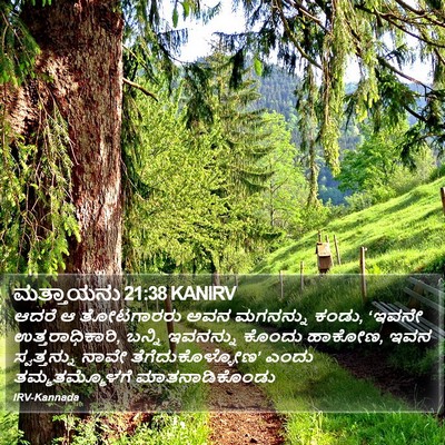 ಮತ್ತಾಯನು 21:38 KANIRV Bible Verse Image