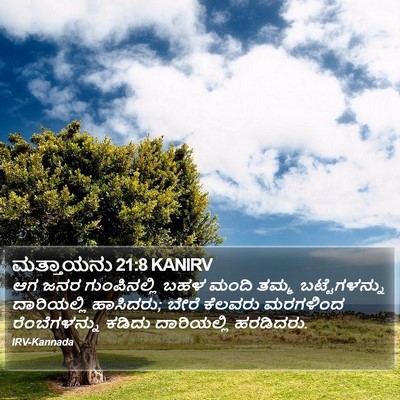 ಮತ್ತಾಯನು 21:8 KANIRV Bible Verse Image