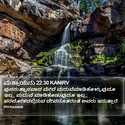 ಮತ್ತಾಯನು 22:30 KANIRV Bible Verse Image