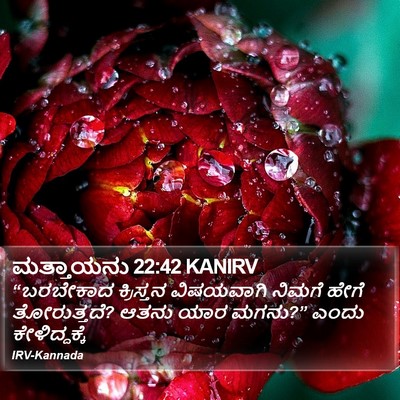 ಮತ್ತಾಯನು 22:42 KANIRV Bible Verse Image