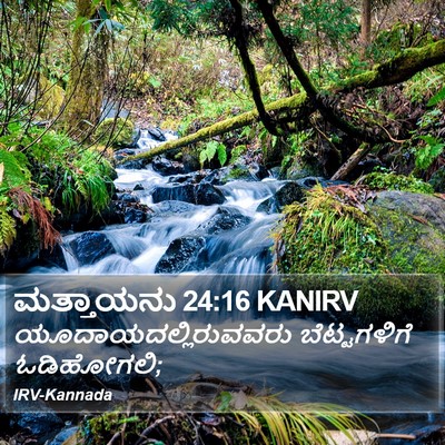 ಮತ್ತಾಯನು 24:16 KANIRV Bible Verse Image