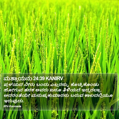ಮತ್ತಾಯನು 24:39 KANIRV Bible Verse Image