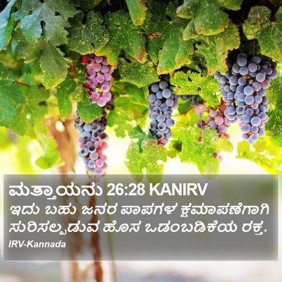 ಮತ್ತಾಯನು 26:28 KANIRV Bible Verse Image