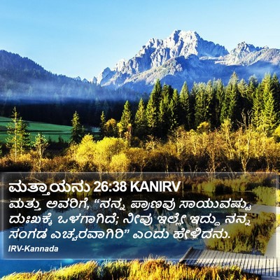 ಮತ್ತಾಯನು 26:38 KANIRV Bible Verse Image