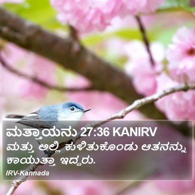 ಮತ್ತಾಯನು 27:36 KANIRV Bible Verse Image