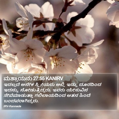 ಮತ್ತಾಯನು 27:55 KANIRV Bible Verse Image
