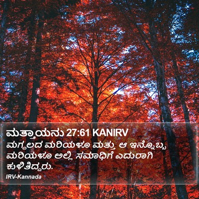 ಮತ್ತಾಯನು 27:61 KANIRV Bible Verse Image