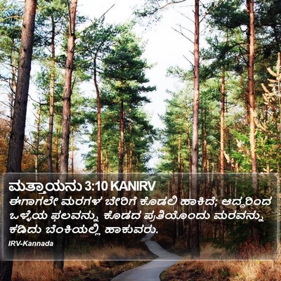 ಮತ್ತಾಯನು 3:10 KANIRV Bible Verse Image