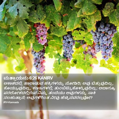 ಮತ್ತಾಯನು 6:26 KANIRV Bible Verse Image