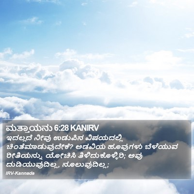 ಮತ್ತಾಯನು 6:28 KANIRV Bible Verse Image