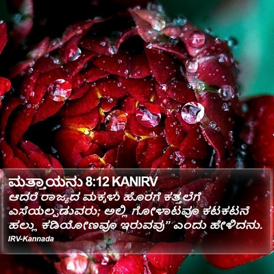 ಮತ್ತಾಯನು 8:12 KANIRV Bible Verse Image