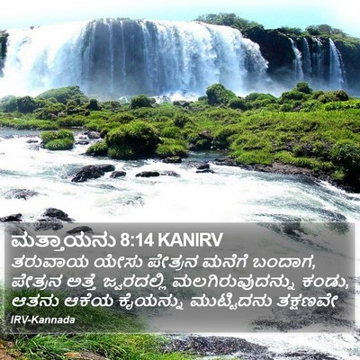 ಮತ್ತಾಯನು 8:14 KANIRV Bible Verse Image