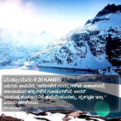 ಮತ್ತಾಯನು 8:20 KANIRV Bible Verse Image