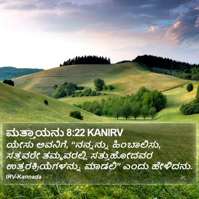 ಮತ್ತಾಯನು 8:22 KANIRV Bible Verse Image