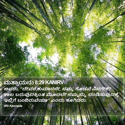 ಮತ್ತಾಯನು 8:29 KANIRV Bible Verse Image