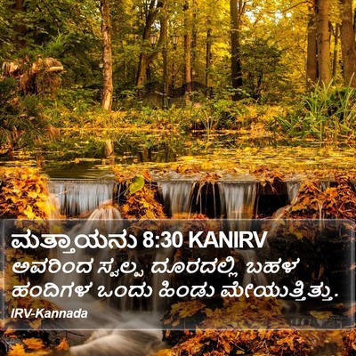 ಮತ್ತಾಯನು 8:30 KANIRV Bible Verse Image