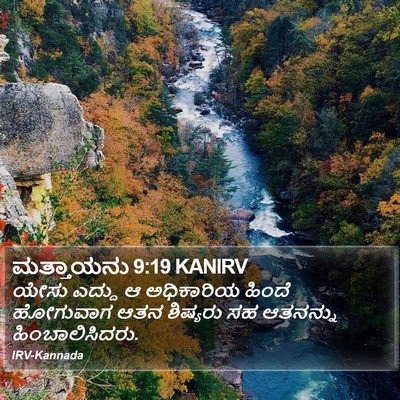 ಮತ್ತಾಯನು 9:19 KANIRV Bible Verse Image